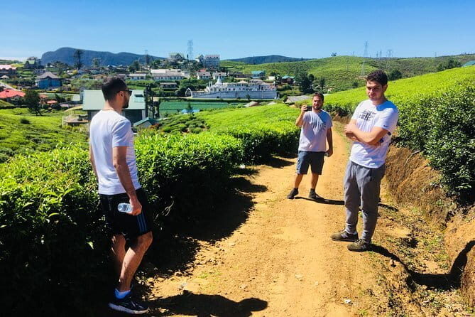 Explore Nuwara Eliya - Waterfall & Tea Factory Tour - Exploring Nuwara Eliya - Waterfall & Tea Factory Tour