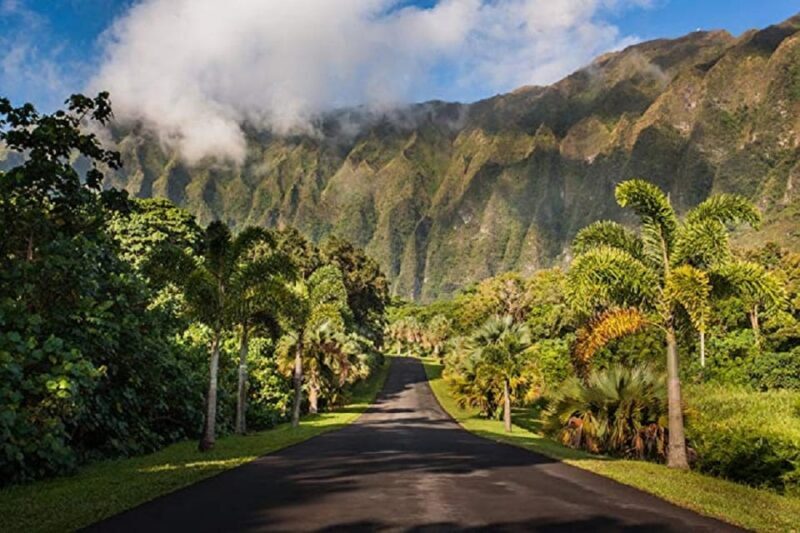 Explore Oahu in a Polaris Slingshot - Why Rent a Polaris Slingshot on Oahu?