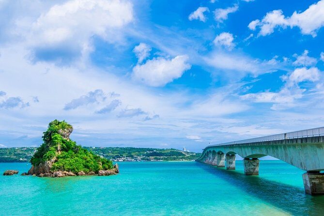 Explore Okinawa with Private Alphard Car Hire - A Closer Look at the Okinawa Private Alphard Car Hire Experience