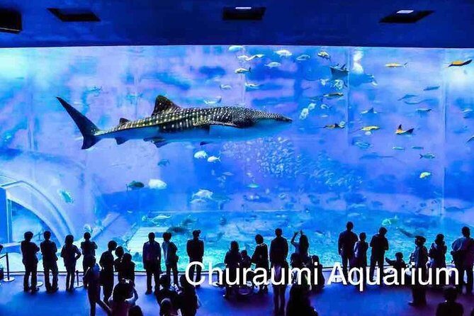 Explore Okinawa with Private Sedan Car Hire Driver - Discovering Okinawa in Comfort and Style