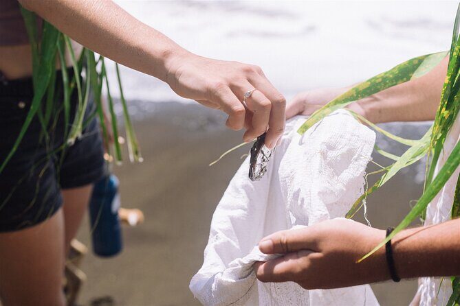 Explore old-fashioned Polynesian life and prepare a local meal - A Deep Dive into the Polynesian Life Tour