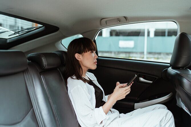 Explore Osaka in One Day Tour with English-Speaking Driver - FAQ