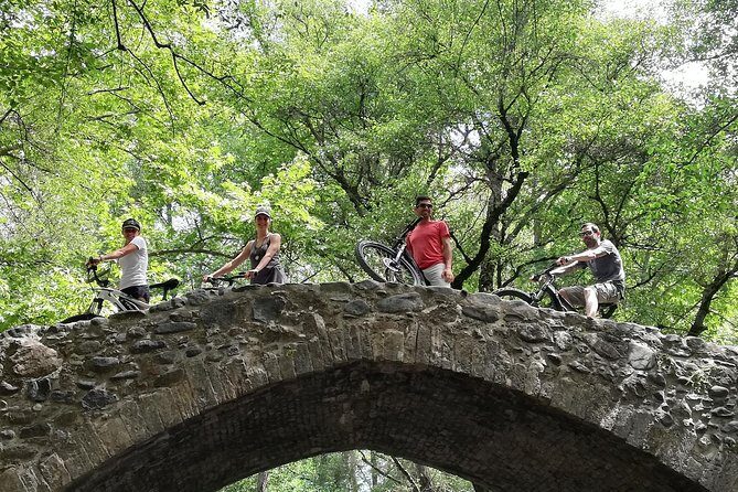 Explore Paphos forest with e-mountain bikes - Explore Paphos Forest with E-Mountain Bikes: A Deep Dive