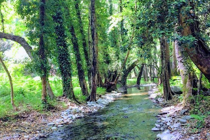 Explore Paphos forest with e-mountain bikes - Authentic Experiences and Authenticity