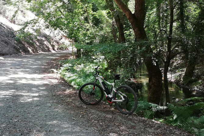 Explore Paphos forest with e-mountain bikes - Price and Value Analysis