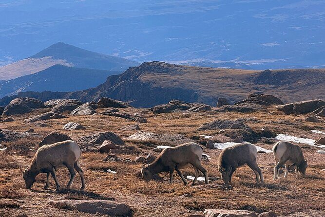 Explore Pikes Peak and Garden of the Gods Full Day Tour - Final Thoughts