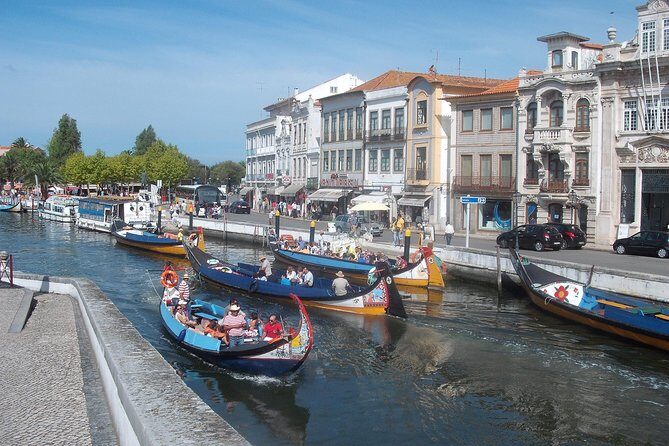 Explore Porto & Aveiro within Riverboat Cruises - Private Full Day Tour from Lisbon with Lunch - A Deep Dive into the Tour Experience