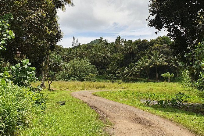 'Explore' Rarotonga Guided Bike Tour with Lunch and Swim - Final Thoughts
