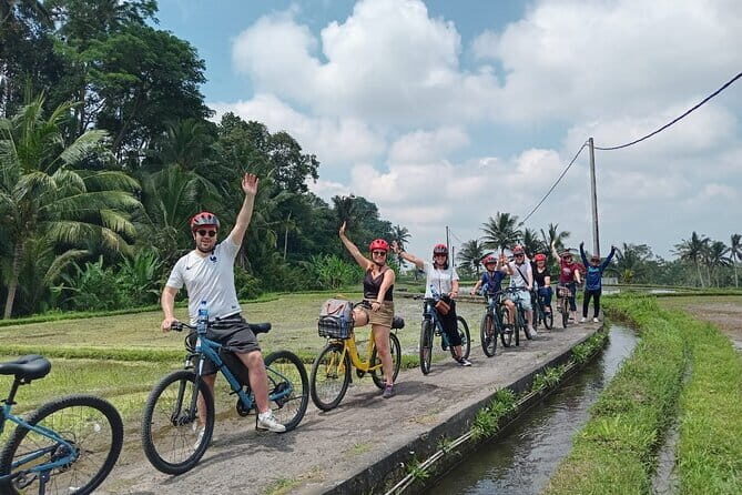 Explore Rice Fields and Hidden Villages with Ubud E-Bike Tour - Key Points