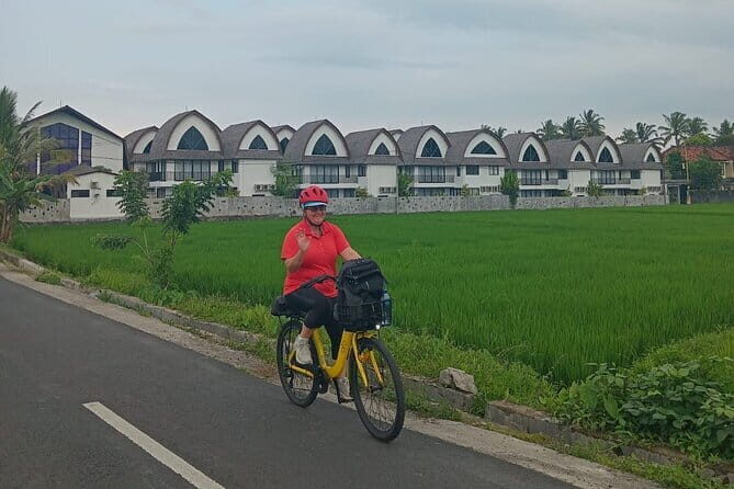 Explore Rice Fields and Hidden Villages with Ubud E-Bike Tour - The Basics of the Ubud E-Bike Tour