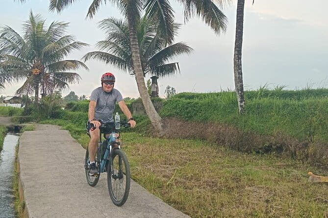 Explore Rice Fields and Hidden Villages with Ubud E-Bike Tour - The Sum Up