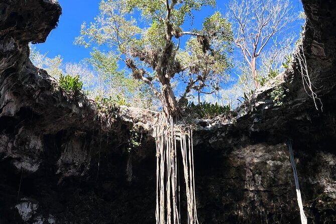 Explore Santa Bárbara Cenote Natural Wonders - The Lunch Break and Why It Matters