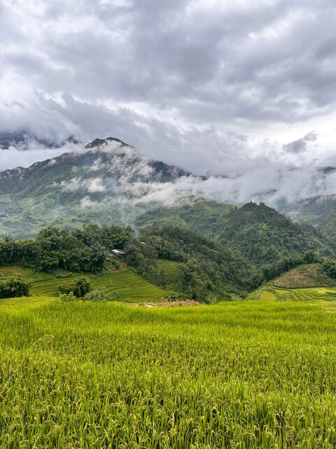 Explore Sapa by TrekkingAdventures, Mountain,Rice fields - Final Thoughts: Why Choose This Sapa Trek?