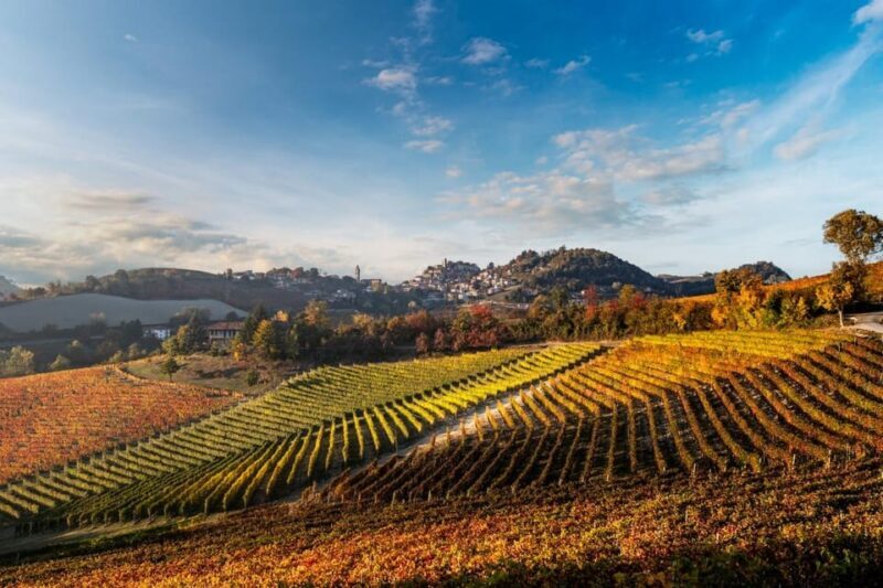 Explore & Savor: Dynamic Wine Tasting at Cantina Moscone - A Deep Dive into the Cantina Moscone Experience