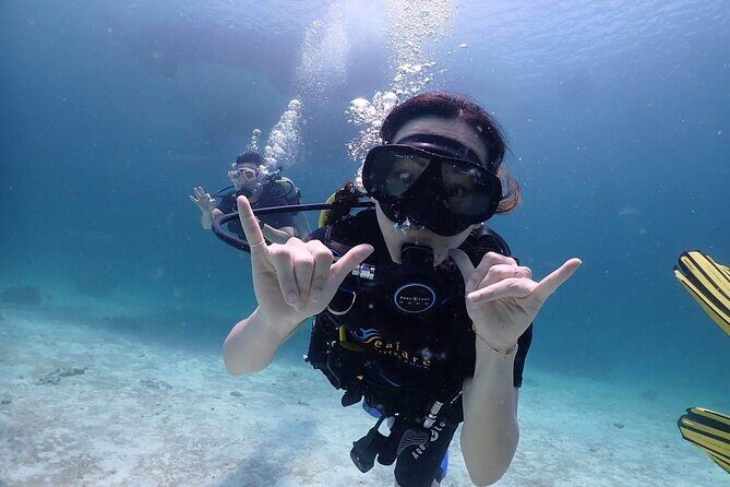 Explore Scuba Diving at Racha Yai Island from Phuket - Analyzing the Experience: Value and Practicality