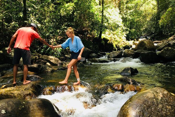 Explore Singharaja Forest Reserve (mirissa/weligama & Galle) - Key Points