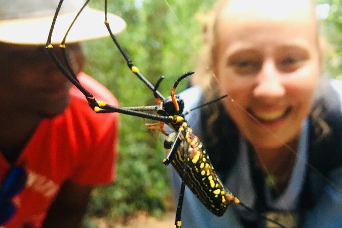 Explore Singharaja Forest Reserve (mirissa/weligama & Galle) - In-Depth Review of the Sinharaja Forest Reserve Tour