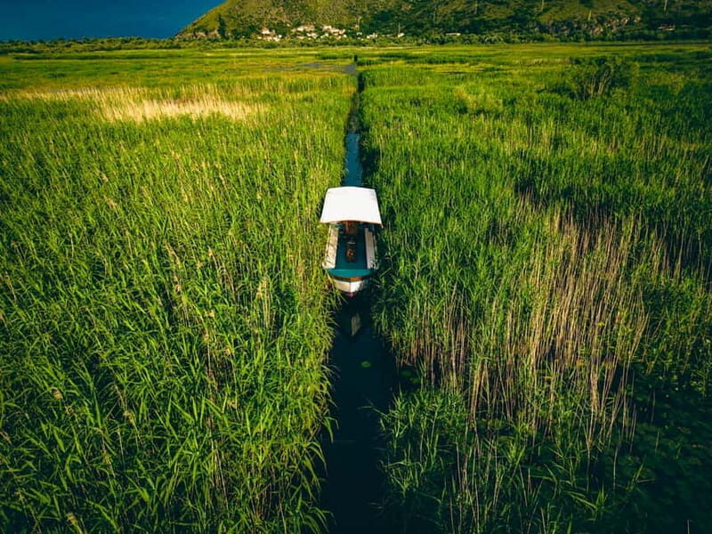 Explore Skadar Lake: Exclusive Guided Boat Falcon Tour! - A Deep Dive into the Skadar Lake Guided Boat Tour