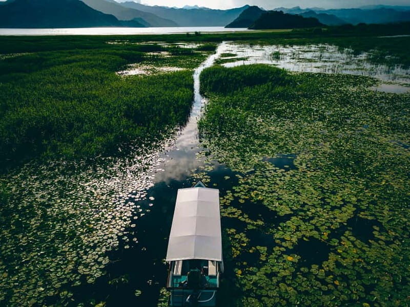 Explore Skadar Lake: Exclusive Guided Boat Falcon Tour! - FAQs About the Skadar Lake Guided Boat Tour