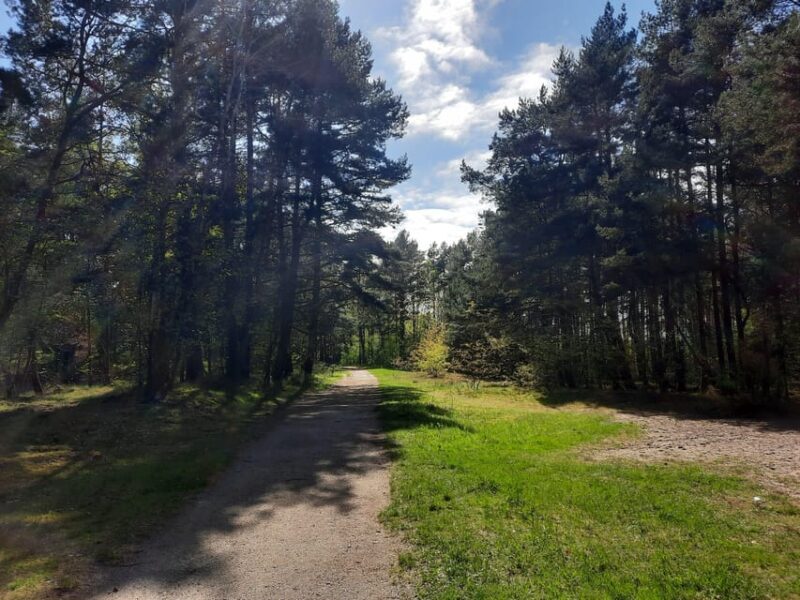 Explore Sobieszewo Island: Nature Walk & Wildlife Tour - Exploring Sobieszewo Island: A Nature Walk & Wildlife Tour