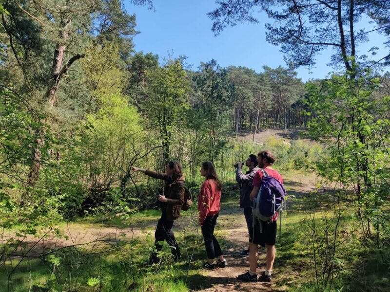 Explore Sobieszewo Island: Nature Walk & Wildlife Tour - An In-Depth Look at the Sobieszewo Island Wildlife & Nature Tour