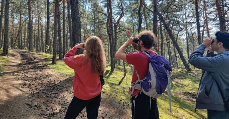 Explore Sobieszewo Island: Nature Walk & Wildlife Tour - The Sum Up: Why This Tour Is a Great Choice