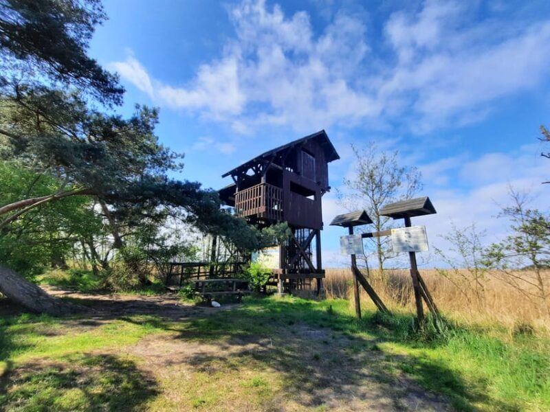 Explore Sobieszewo Island: Nature Walk & Wildlife Tour - FAQ