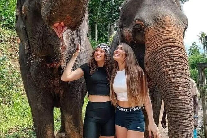 Explore Sri Lanka in 5 Days with Breakfast and Luxury Car - Explore Sri Lanka in 5 Days with Breakfast and Luxury Car