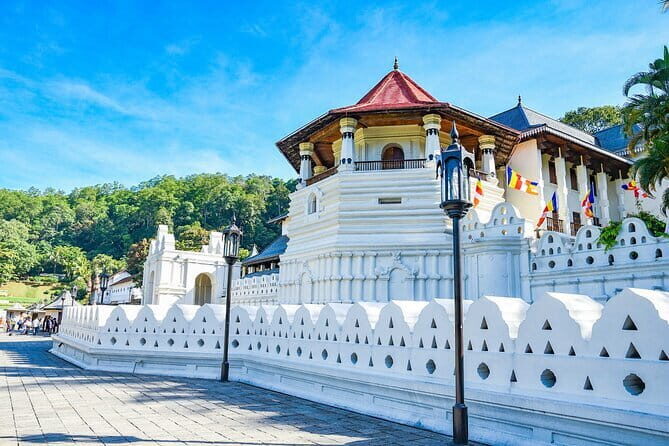 Explore Sri Lanka in 5 Days with Breakfast and Luxury Car - The Sum Up