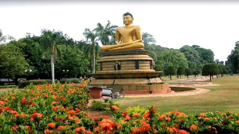 Explore Sri Lanka: One-Day City Tour with Colombo Highlights - FAQ