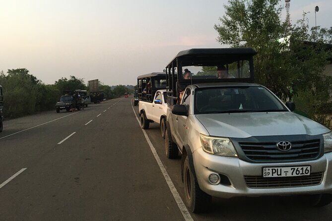 Explore Srilanka in 9 Nights 10 Days - A Deep Dive into the 10-Day Sri Lanka Tour