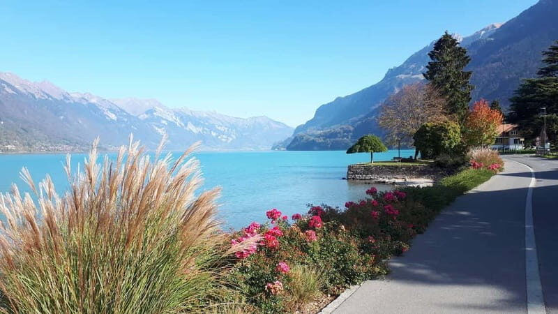 Explore Swiss Villages: Interlaken-Grindelwald(Private Tour) - Why This Tour Offers Great Value