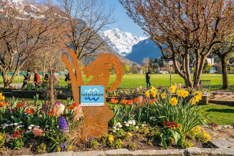 Explore Swiss Villages: Interlaken-Grindelwald(Private Tour) - Final Thoughts