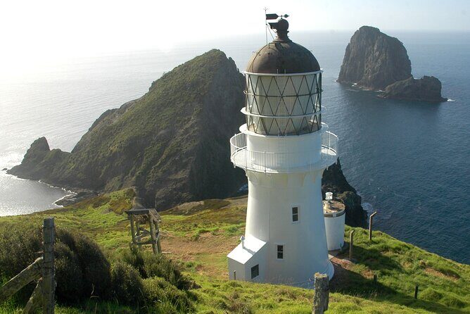 Explore The Bay of Islands Full Day Private Tour from Auckland - A Deep Dive into the Full-Day Bay of Islands Private Tour