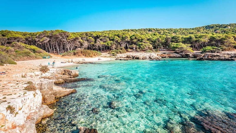 Explore the Beauty of Porto Selvaggio Self-Guided Bike Tour - Explore the Beauty of Porto Selvaggio Self-Guided Bike Tour