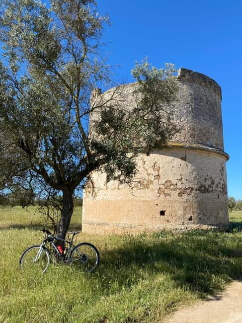Explore the Beauty of Porto Selvaggio Self-Guided Bike Tour - Who Should Consider This Tour?