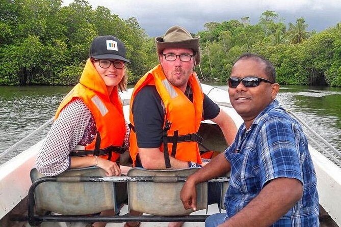 Explore the Beauty of South Coast in One Day - A Detailed Look at the South Coast Tour