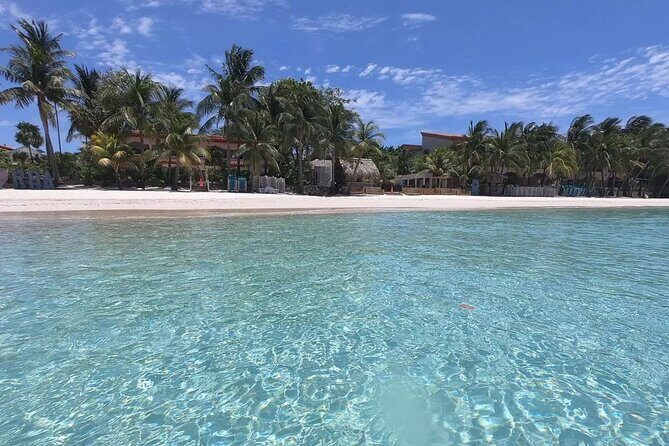 Explore the Best of Roatan with Our Fully Customizable City Tour - FAQ: Practical Questions About the Tour