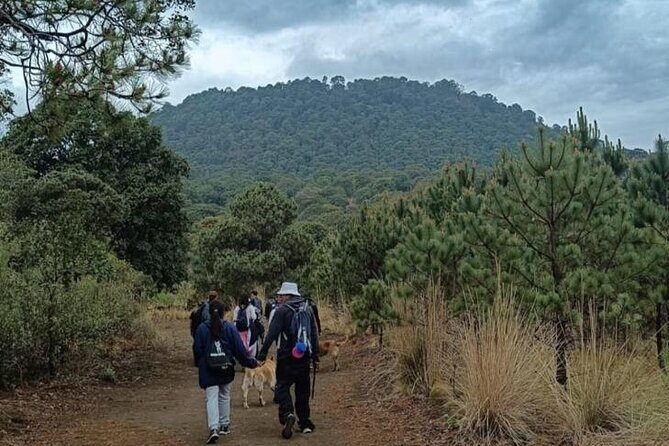 Explore the Caves of an Inactive Volcano on CDMX - Authentic Experiences That Shine