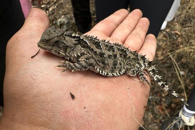 Explore the Caves of an Inactive Volcano on CDMX - Practical Tips and Considerations