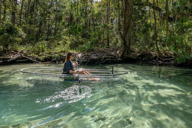 Explore The Chaz: Exclusive Clear Kayak Tours Near Crystal River - An In-Depth Look at the Experience