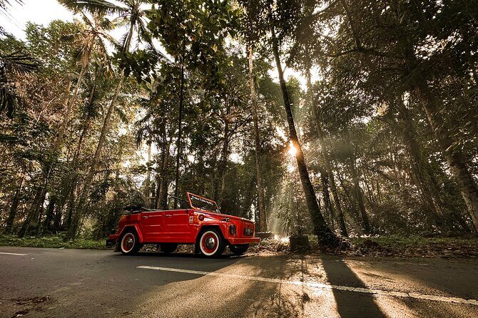 Explore the highlight of Bali By Vintage Volkswagen Car - Who Would Love This Tour