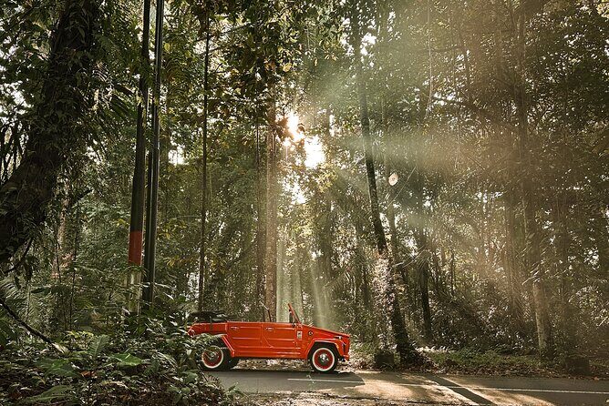 Explore the highlight of Bali By Vintage Volkswagen Car - Frequently Asked Questions