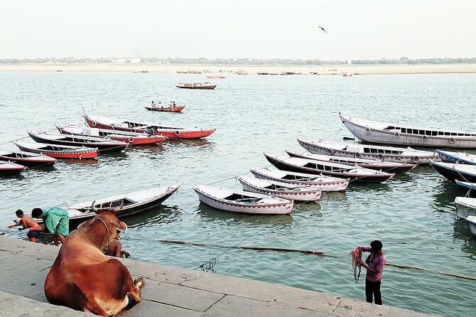 Explore the Highlights of Varanasi - Key Points