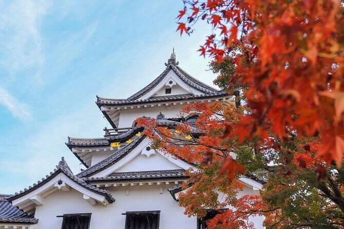 Explore the Historic Castle Town of Hikone from Osaka - What the Tour Covers and Why It Matters