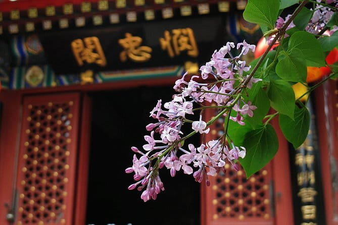 Explore the Hutongs at Houhai Lake area with the imperial afternoon Tea. - Who Should Consider This Tour?