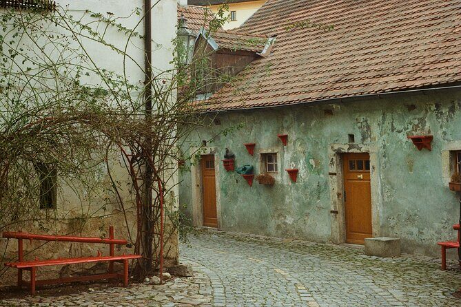 Explore the Instaworthy Spots of Cesky Krumlov with a Local - Exploring Cesky Krumlov’s Instagrammable Charm with a Local Guide