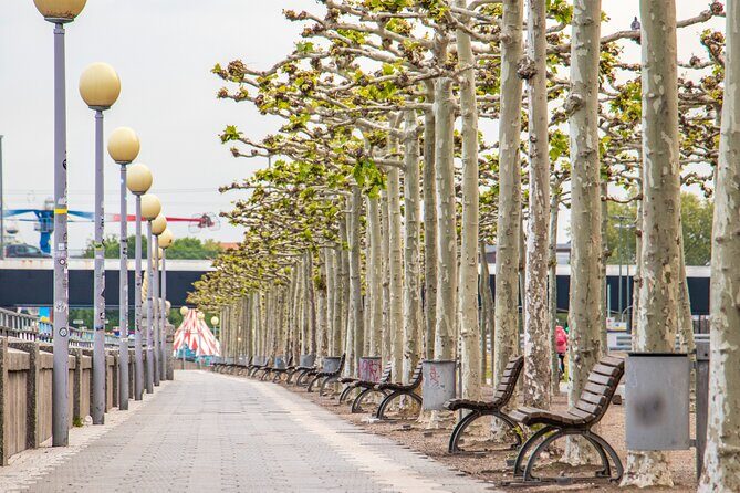 Explore the Instaworthy Spots of Dusseldorf with a Local - The Sum Up