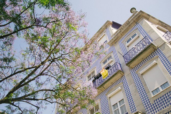 Explore the Instaworthy Spots of Porto with a Local - The Sum Up
