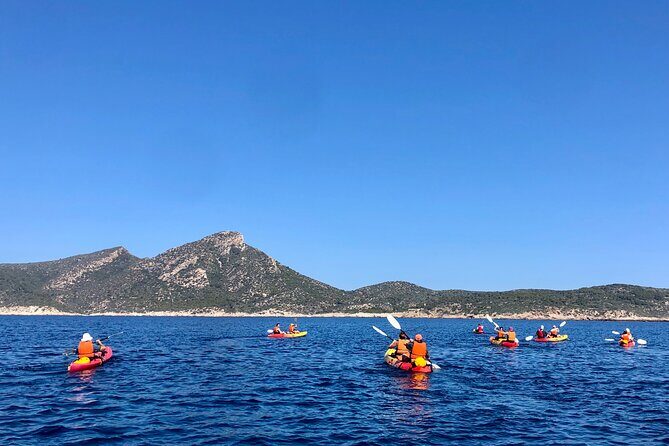 Explore the Island Dragonera by kayak - Why This Tour Offers Great Value